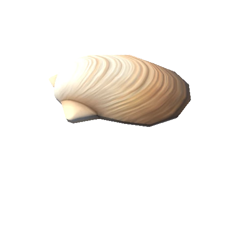 2949971+shell (6)